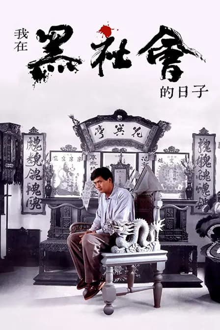 我在黑社会的日子