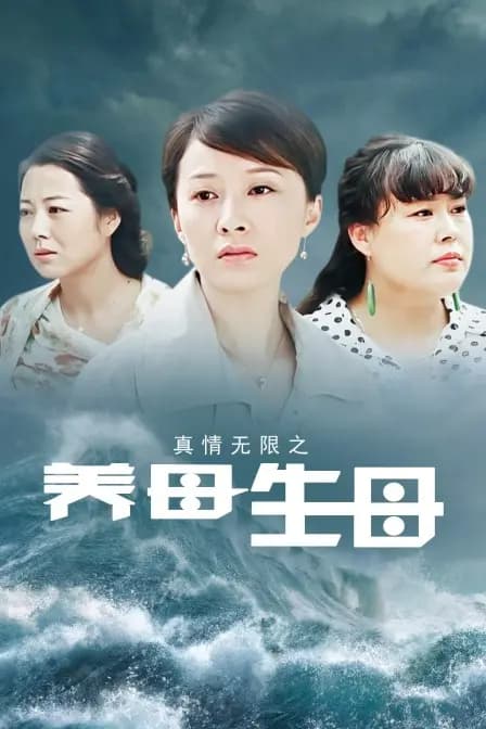 真情无限之养母生母